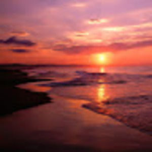 Meet your Posher, Karina